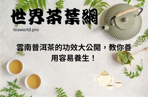 白玉 功效|白玉功效大公開！養生、護體、提升氣質的秘密 